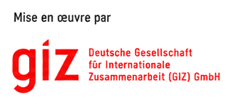GIZ